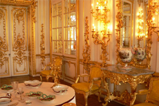 St. Petersburg Amber Room cruise excursion